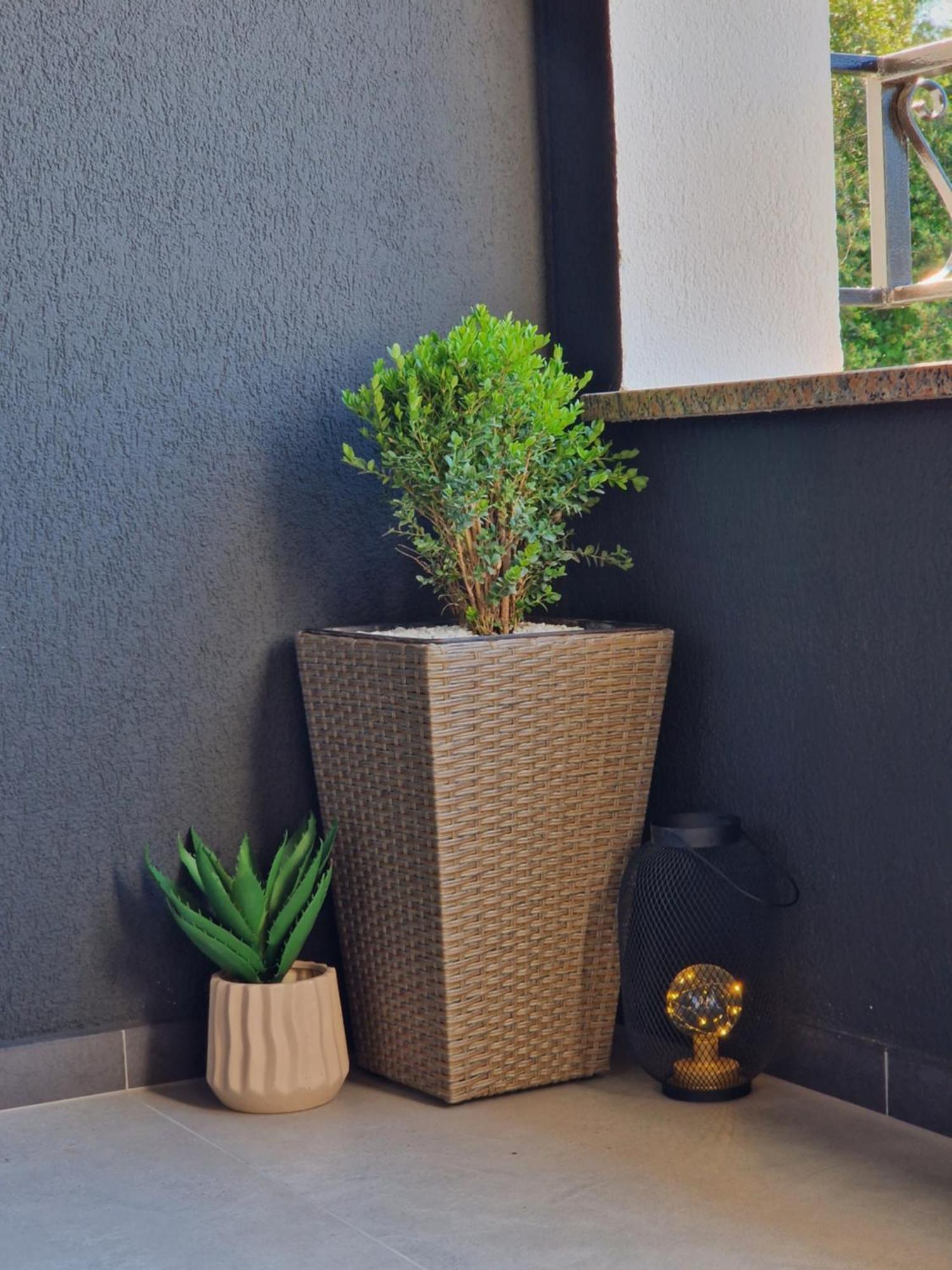 Apartment Jasna Rovinj